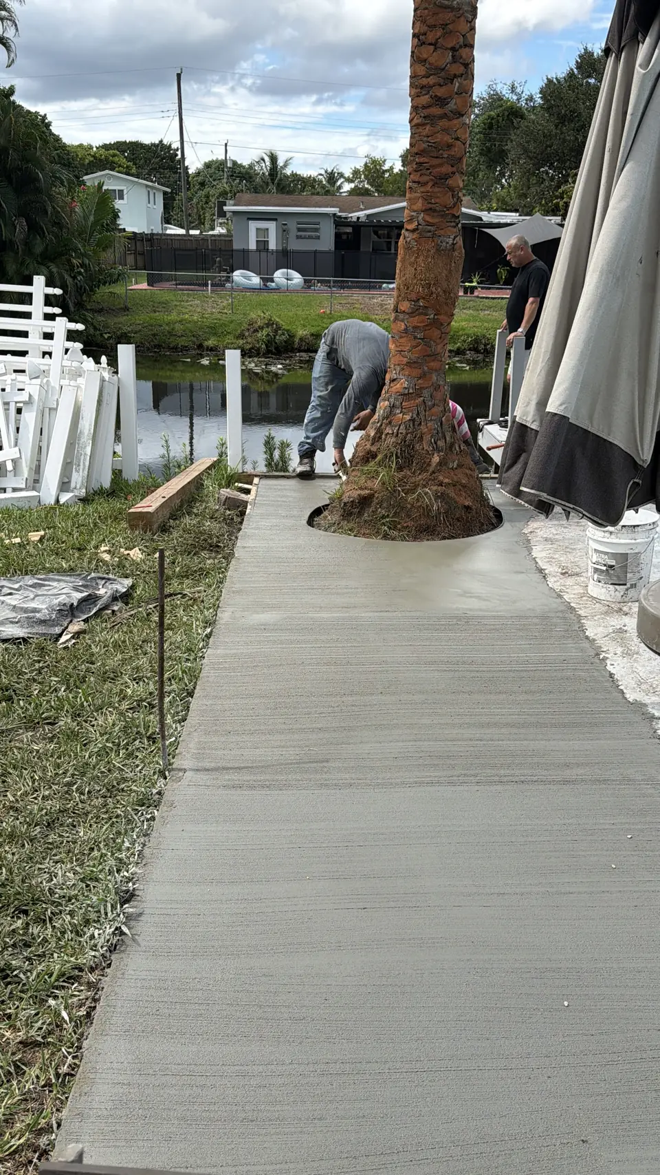 Walkway pour around palm - real Remodel Right FL project