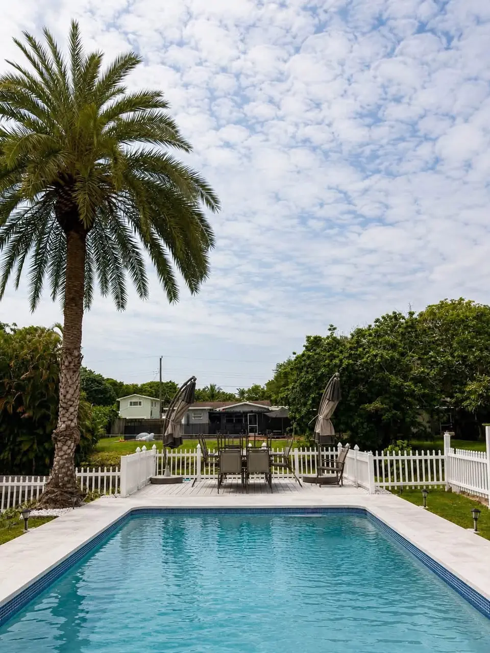 Resurfaced pool with palm tree under a blue sky - real Remodel Right FL project